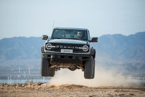 国产烈马最新爆料,揭秘神秘爆料背后的传奇故事